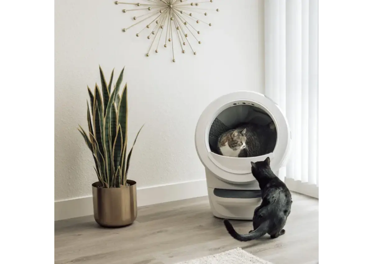 Litter-Robot 4 - 3/3