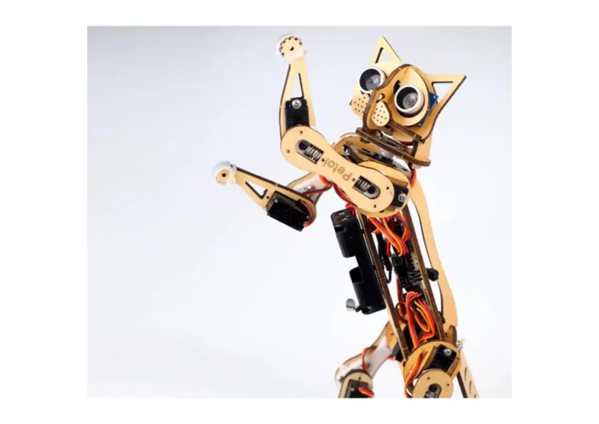 Petoi Nybble Robotic Cat V2 - 3/3